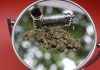 N.Y. clamps down on businesses offering marijuana as a ‘gift’