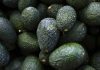 U.S. suspends Mexican avocado imports on eve of Super Bowl