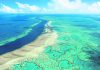 ‘Crisis’: Climate panel flags Great Barrier Reef devastation