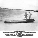 Torpedo-Eagle Beach annot_result