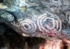 Island’s Rock Art