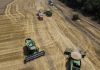 U.N.: War in Ukraine to hurt poor nations importing grain