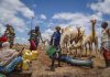 East Africa’s hunger crisis needs global action, says Oxfam