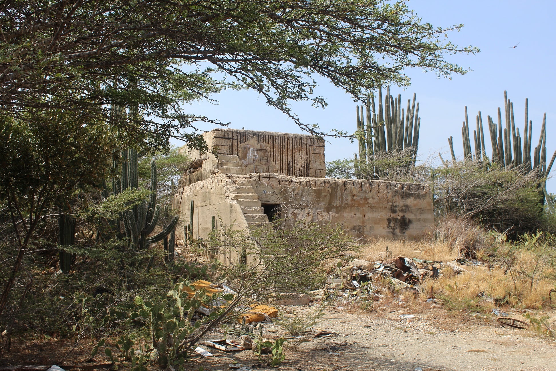 Continuation; Remembering Aruba’s history and involvement in World War