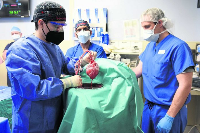 Pig Heart Transplant