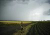 EU: Blame Russia, not sanctions, for global food crisis