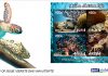 Post Aruba emits its stamp series ‘Marine Life’; On a collaboration with Aruba National Park Foundation