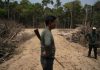 Report: Brazil authorities pay no mind to deforestation