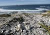 California tribes will manage, protect state coastal areas