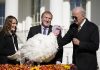 Biden opens holidays, pardons turkeys Chocolate and Chip