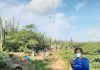 E. Biemans, G.M. Case and Bucuti & Tara Protect Aruba’s Nature by Founding a Nature Preservation Park in Noord