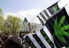 Voters in 5 states decide whether to legalize marijuana