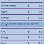 Consumer Price Index, base period June 2019 (1)
