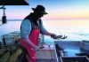 Maine lobstermen have slower year amid industry challenges