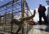 New federal program targets abandoned crab, lobster traps