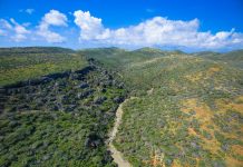 National Park Arikok: Aruba’s biggest nature conservation