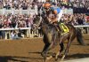 19 horses to tangle in wide-open 149th Kentucky Derby