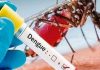 Be extra cautious of the current surge of Dengue fever on the island