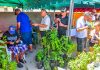 Santa Rosa organizes another Farmers Market day on May 7th