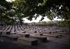 Germany to give $1.4 billion to Holocaust survivors globally in 2024