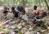 Advocates sue federal government for failing to ban imports of cocoa harvested by children