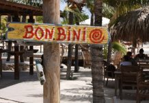 Papiamento words and phrases you may want to know!