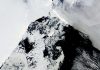 Scientists count huge melts in many protective Antarctic ice shelves