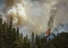 U.S. Forest Service sued over flooding deaths in the wake of New Mexico’s largest recorded wildfire