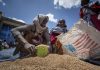 US resumes some food aid deliveries to Ethiopia after assistance was halted over ‘widespread’ theft