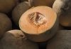 Don’t eat pre-cut cantaloupe if the source is unknown, CDC says, as deadly salmonella outbreak grows