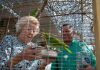 Project for the reintroduction of the Yellow-shouldered Amazon in Aruba presented to Princess Beatrix