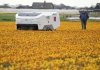 An AI robot is spotting sick tulips to slow the spread of disease through Dutch bulb fields