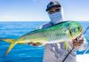 Planning on snorkeling? Get to know our “Dorado”