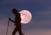 FNPA is hosting another Full Moon Hike!