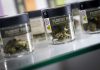 NY judge imposes $15 million fine on unlicensed cannabis shops owner who says he gave free samples