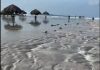 Baby Beach Registers Effects of Hurricane Beryl
