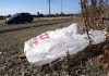 California governor signs law banning all plastic shopping bags at grocery stores