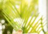 Cocktails with a Story: Caya House Brings a Unique Flavor Experience to Aruba