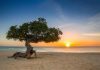 The power of Aruba By Antoinette DeWit