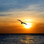 best spots to view the sunset