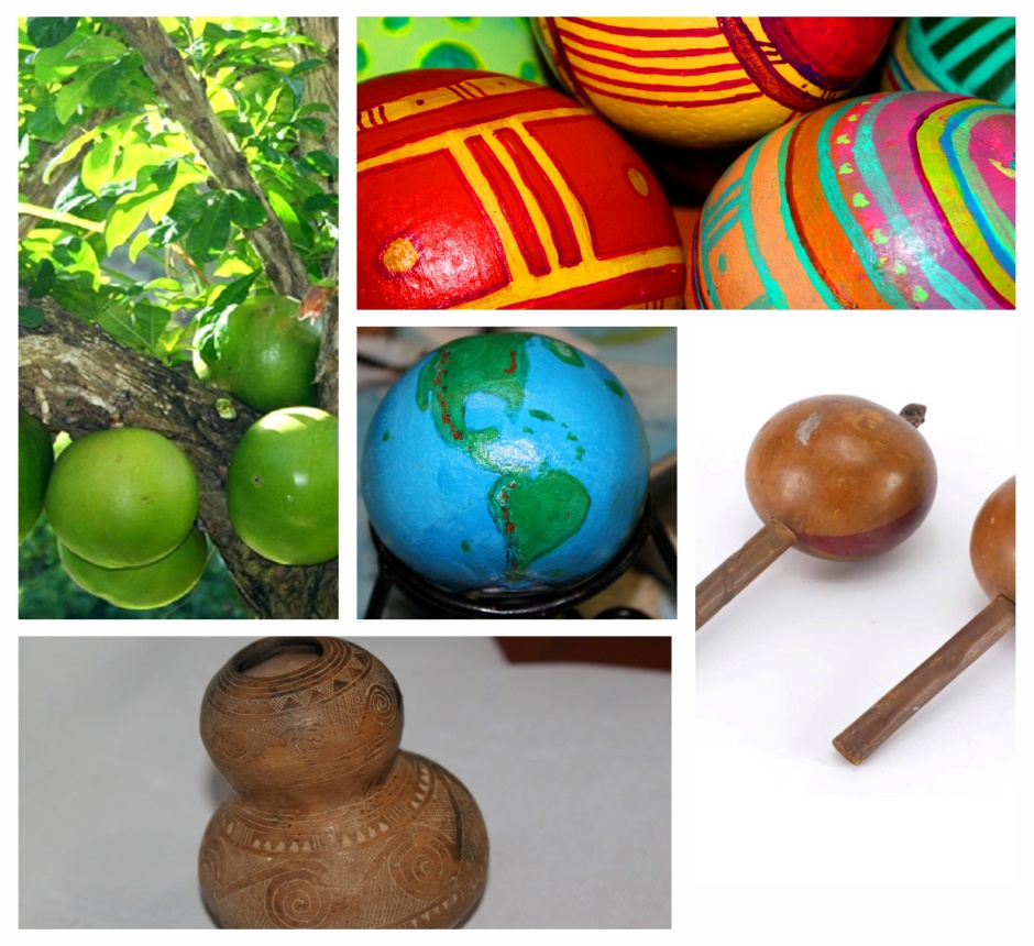 Episode CCCIX -309: The Sacred Gourd: From Myth to Totuma and Maraca