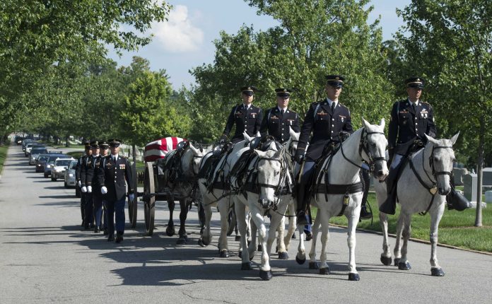 Army Horses