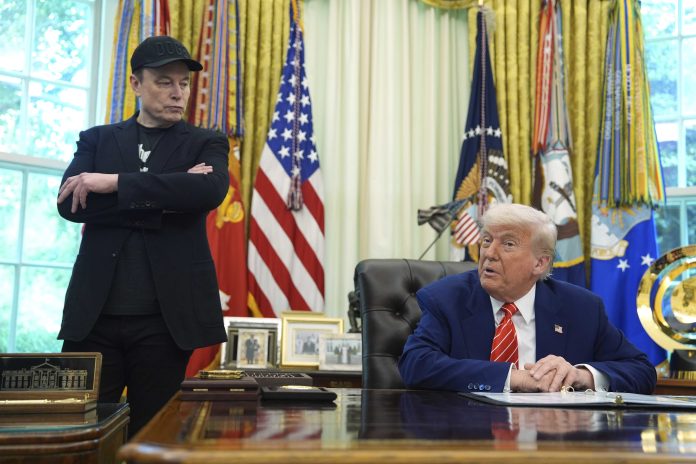Musk Trump