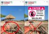 Aruba Birdlife Conservation warns: Do not touch or feed wildlife!