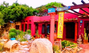 ETNIA NATIVA LOCATION BUILDING