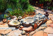 New Episode CCCXVIII-318: Pie di Mula: An Aruban Heritage