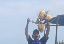 Aruba to me: Martin Reinstein