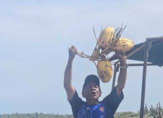 Aruba to me: Martin Reinstein