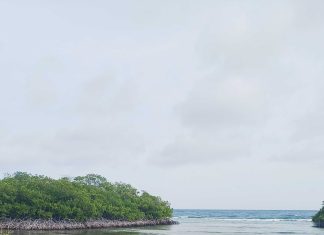 A guide for the perfect picture: Where to find the most Instagrammable places in Aruba