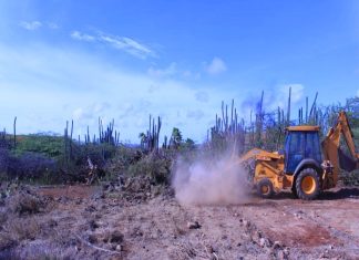 Episode CCCXXI -321: “What Will Remain of Aruba? Part II — How Our Natural Heritage Is Being Paved Away”